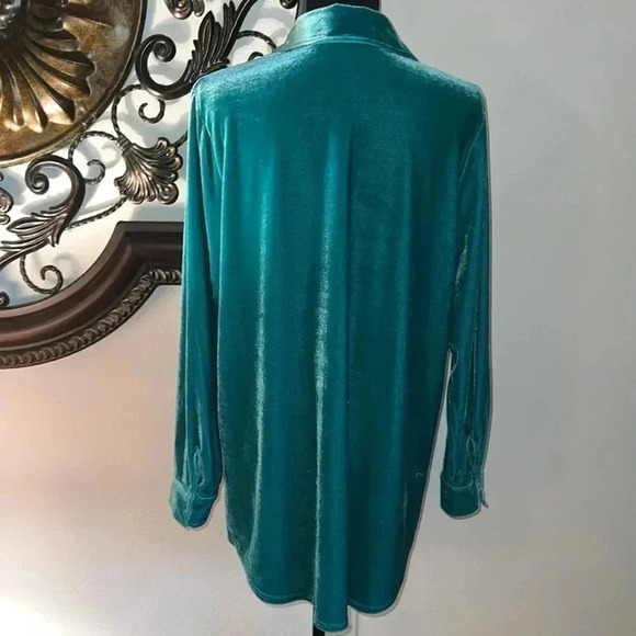 Soft Surroundings Women’s Velvet Mint Green Boyfriend Tunic Top Blouse Medium - Picture 8 of 14